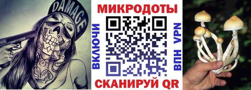 Псилоцибиновые грибы ЛСД  Подольск 