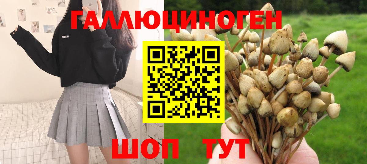 Подольск  Галлюциногенные грибы Magic Shrooms  Вход с VPN 